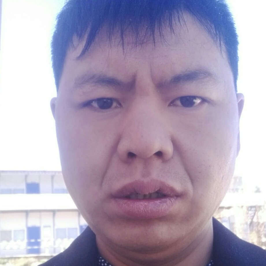 悲凉羽毛的照片