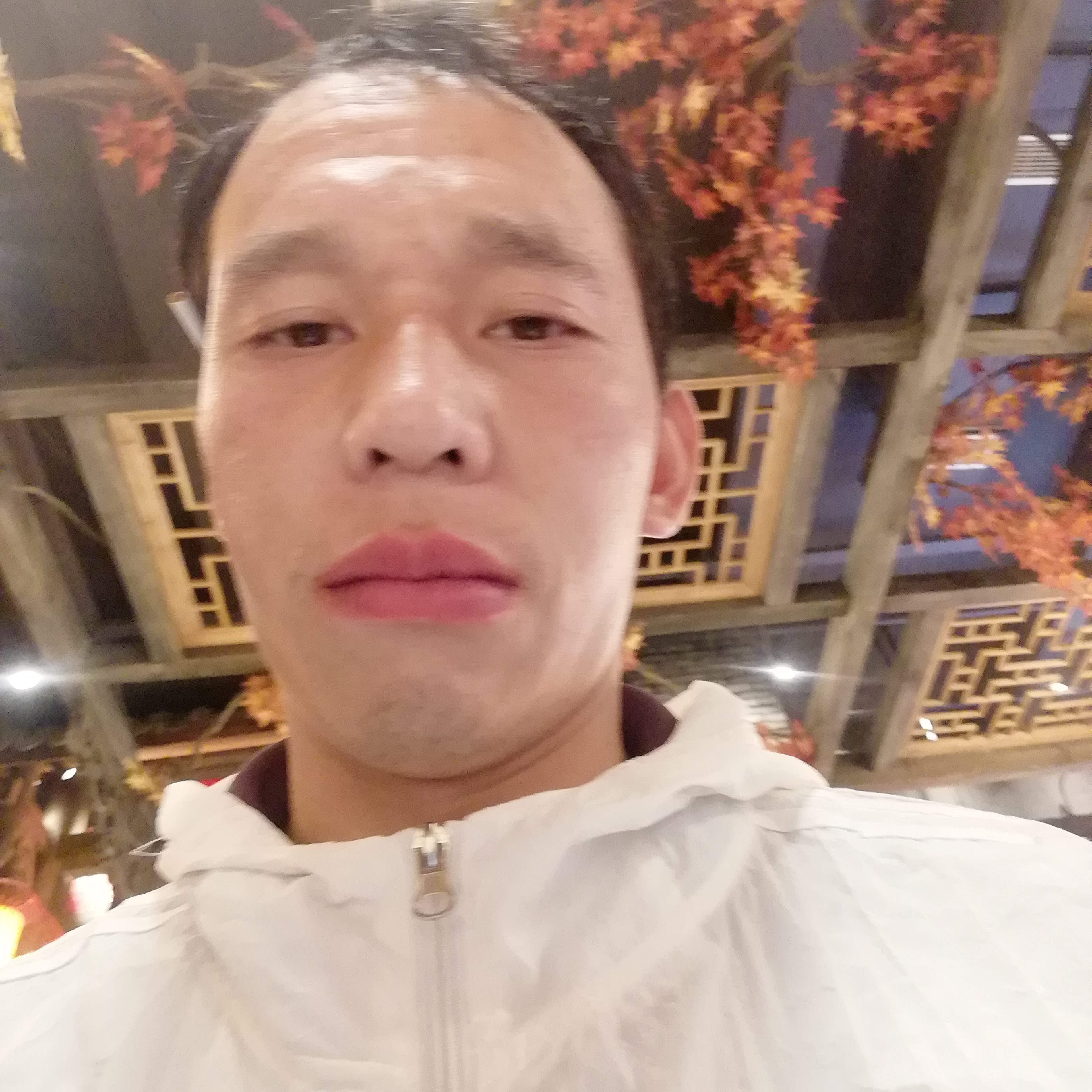 芹菜完美947的照片