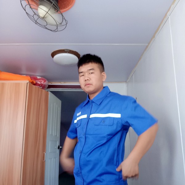 孤独和树叶的照片