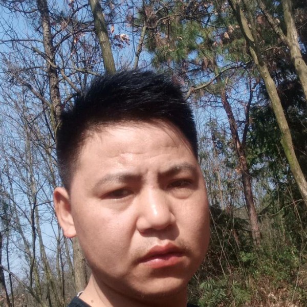 茶中杯的照片