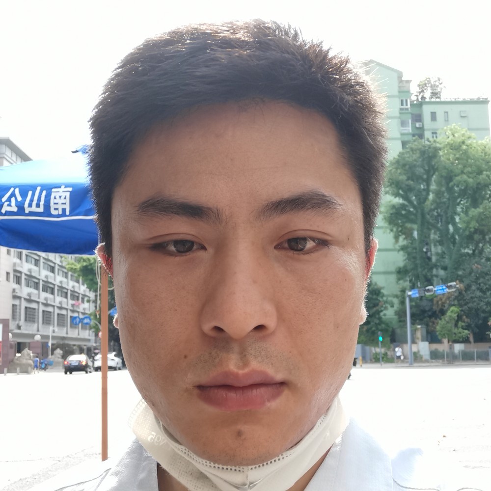 鸡等待零碎的照片