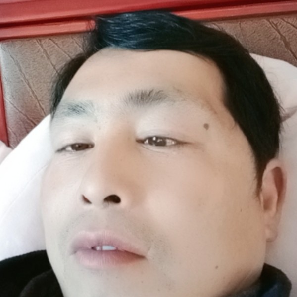 枫叶凝眸直率的照片