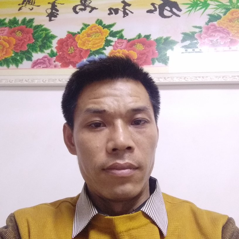 请 非诚勿扰的照片