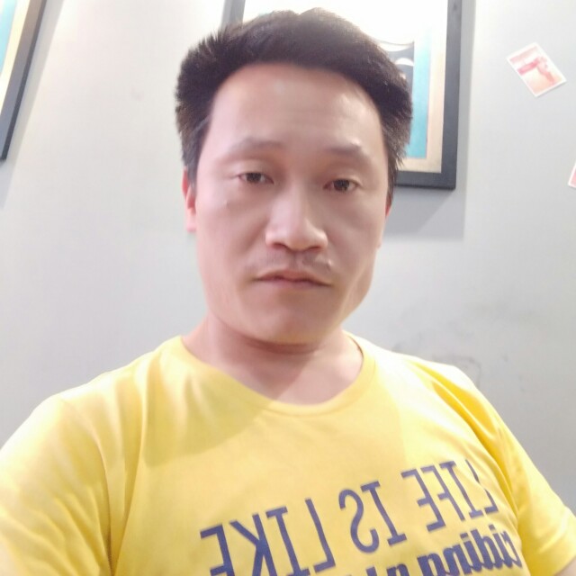 青柠叶的照片