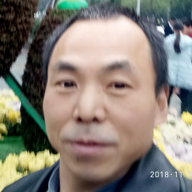 羞涩橘子的照片