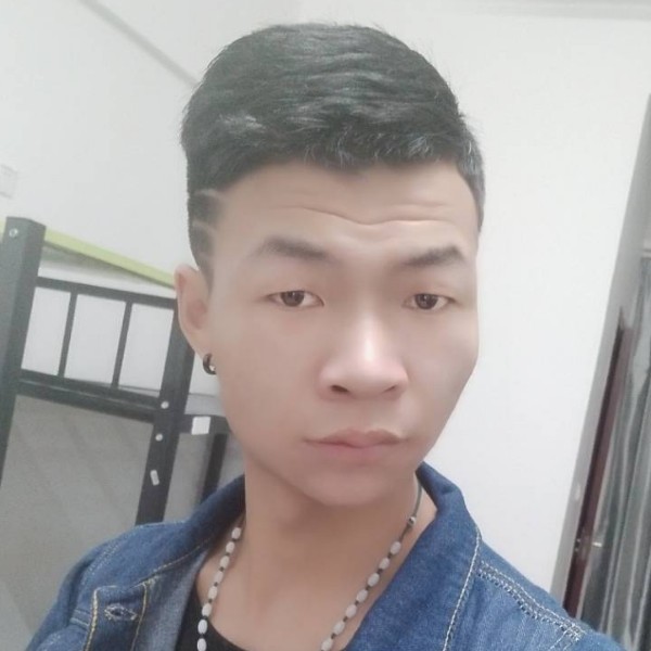 小刺猬爱彪壮的照片