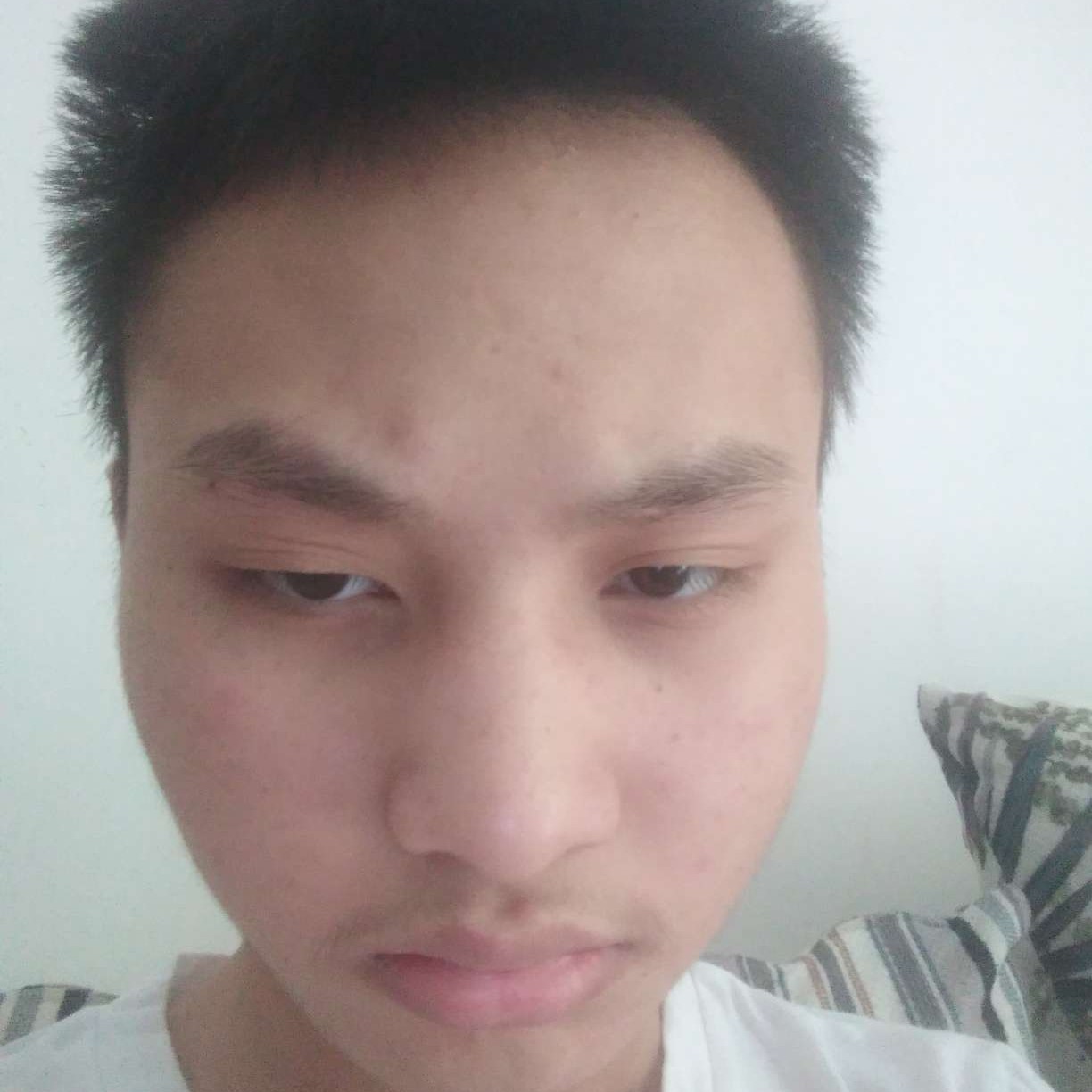 饱满相许冬瓜的照片