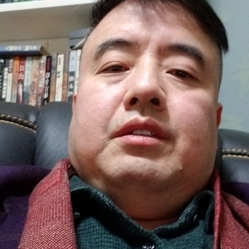 亭亭玉立的松树的照片
