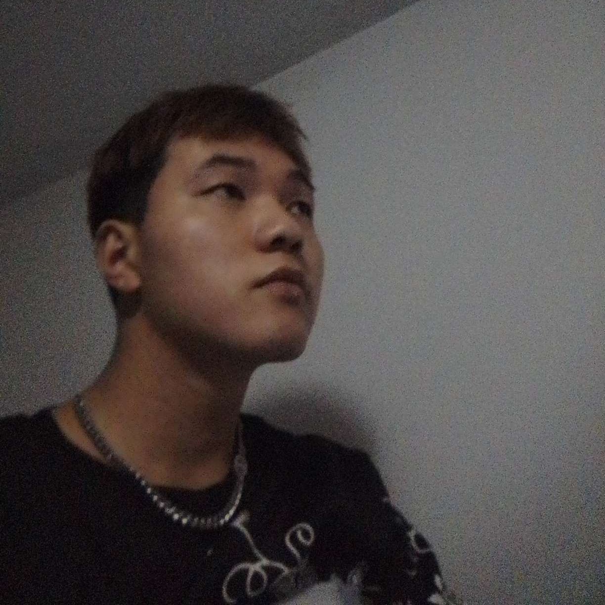 愉快凝眸老虎的照片