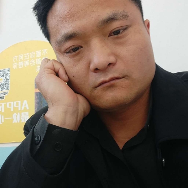枫叶落拓的照片