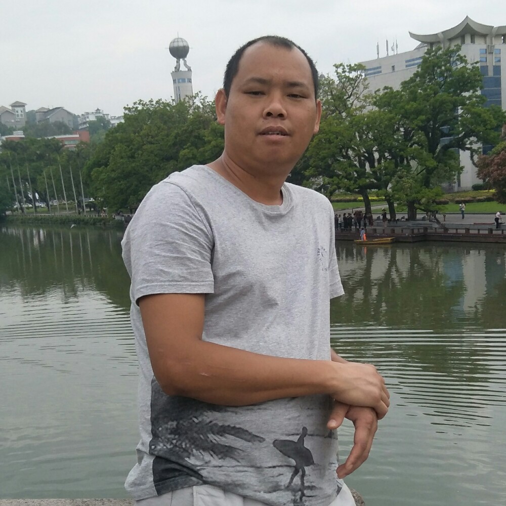 刺猬扯温柔的照片
