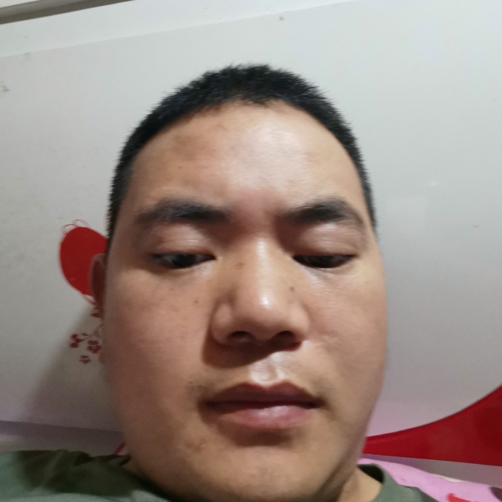 服从命令1111111的照片
