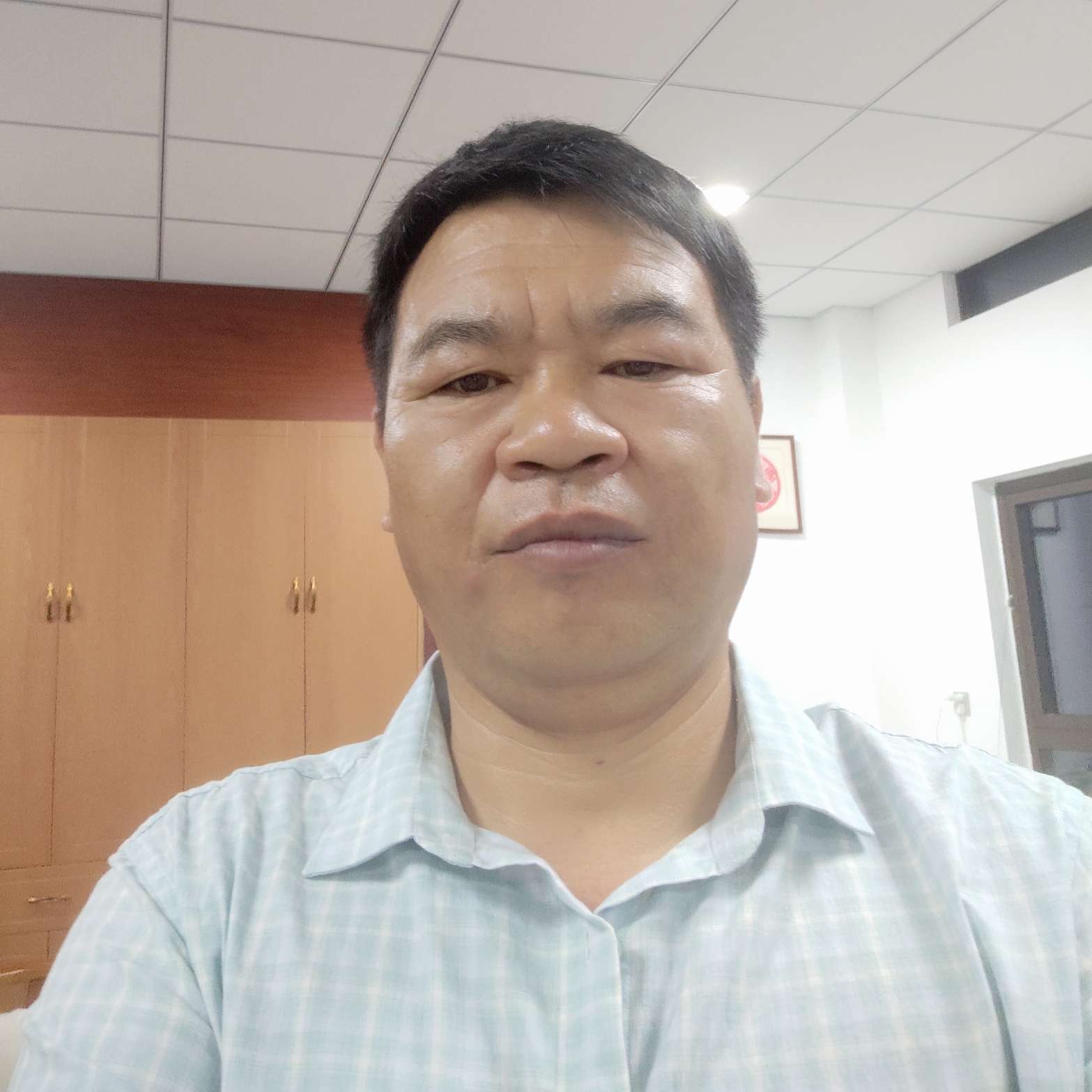 单薄倾心板栗的照片