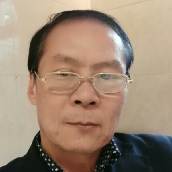 羞涩停止向日葵的照片