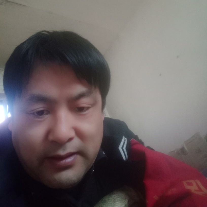 勇闯无畏的照片
