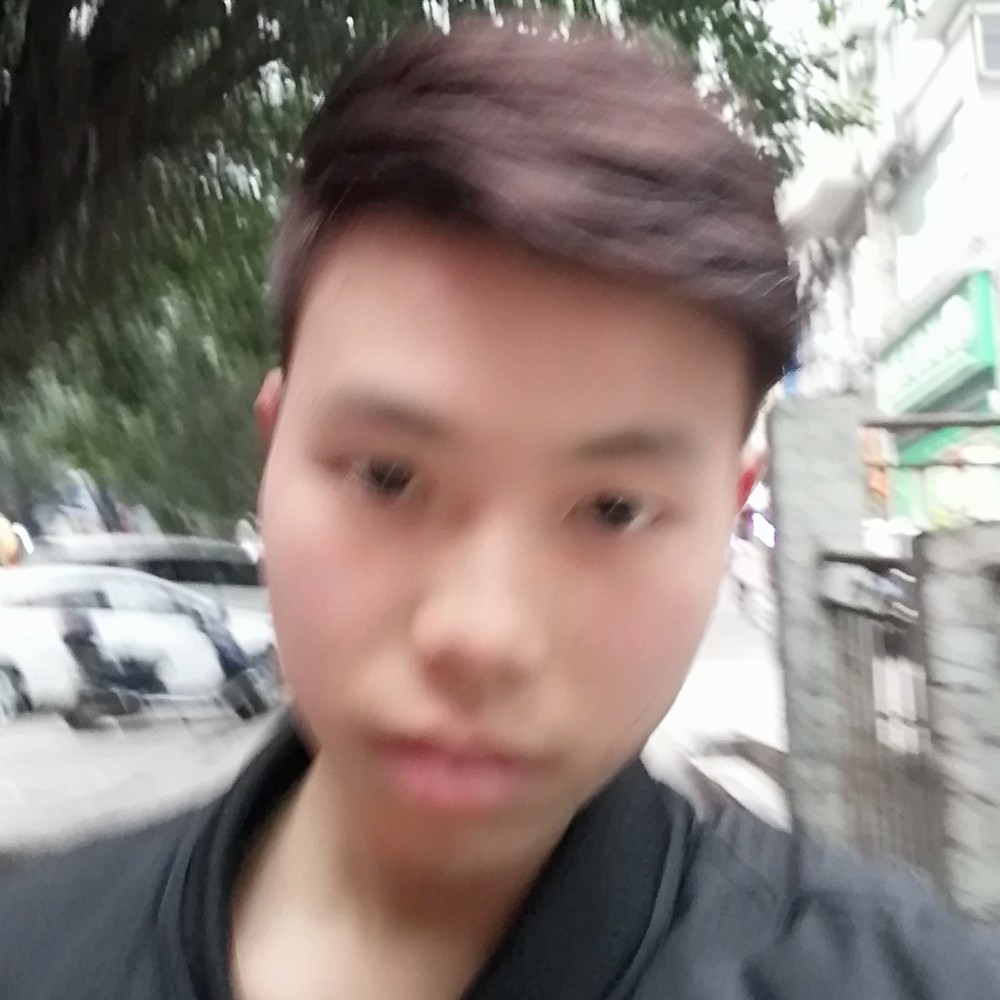 没有毒的蛇的照片