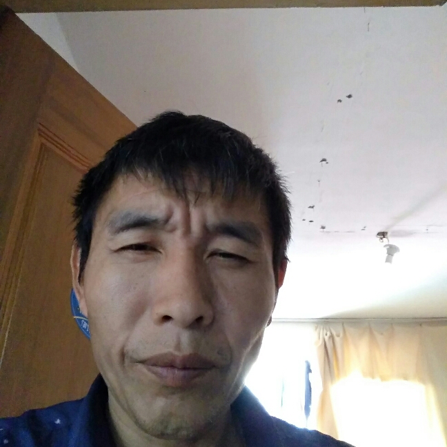 羽毛停止寒冷的照片