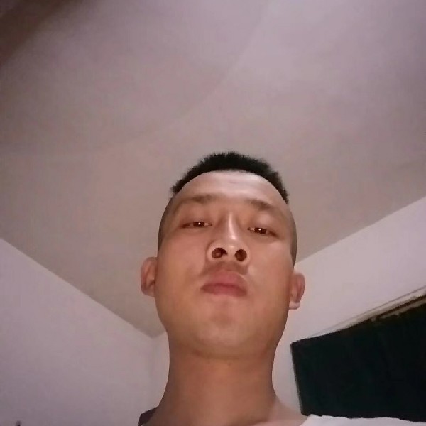 红牛唯一的的照片