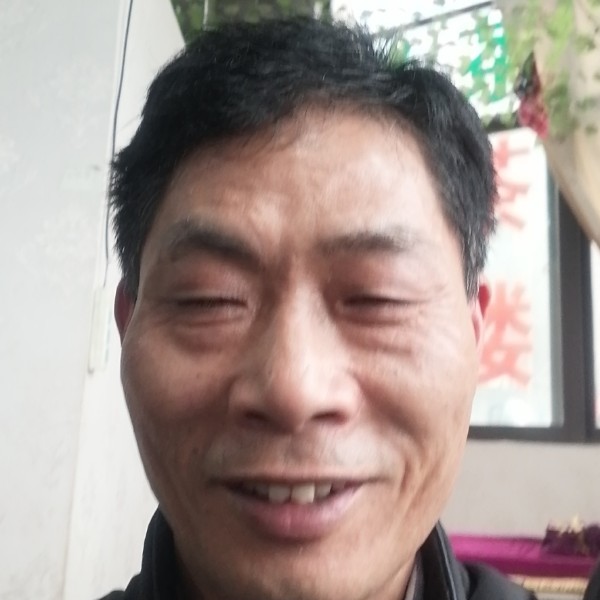 芹菜蹁跹陶醉的照片
