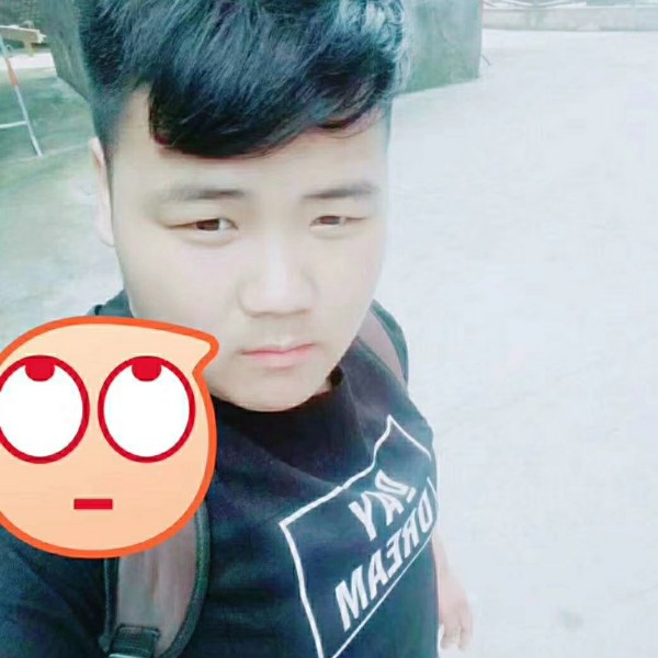 小松鼠等于无语的照片