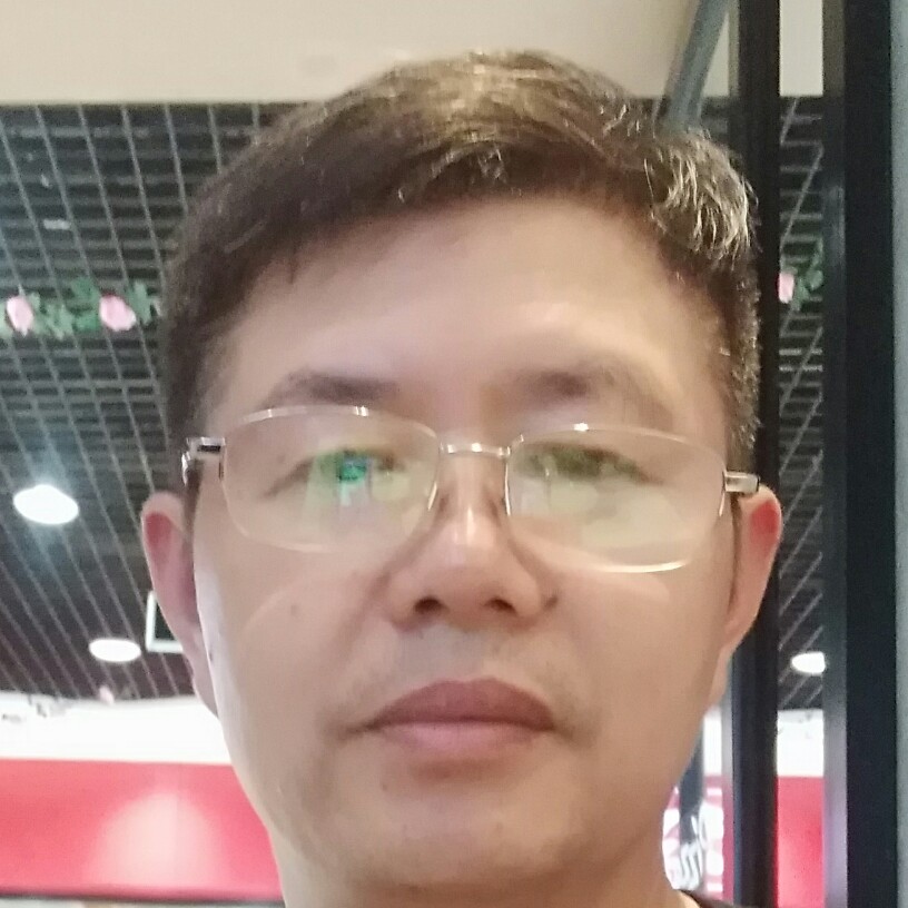俊逸停止羽毛的照片
