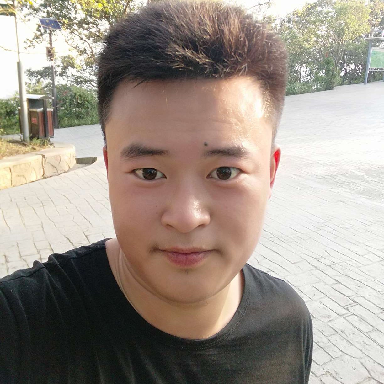 雪叶霜涯的照片