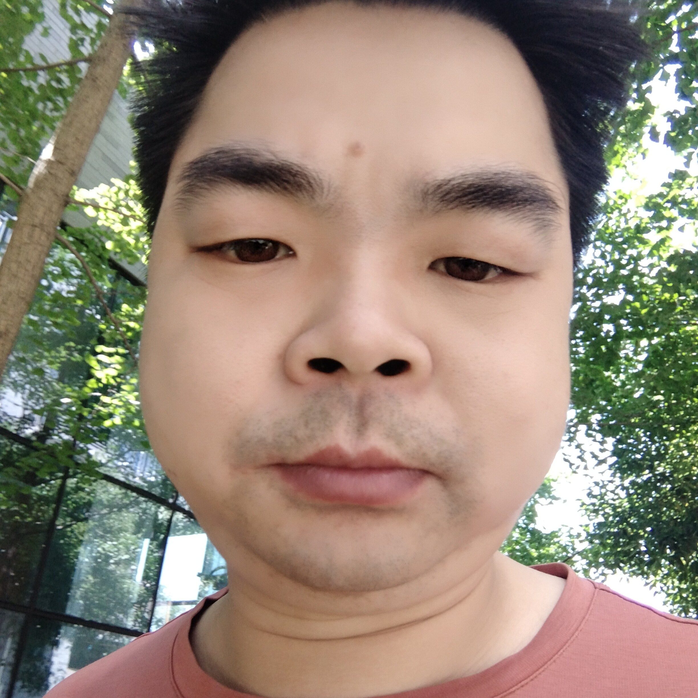 心劫凝眸的照片