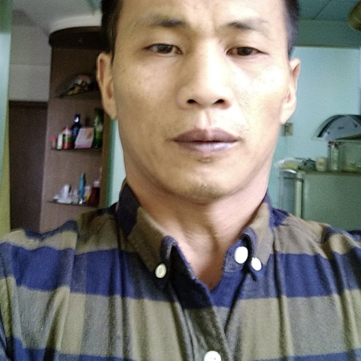 森林。的照片