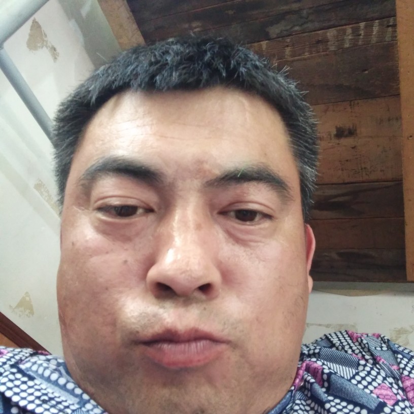 甜美等待羊的照片