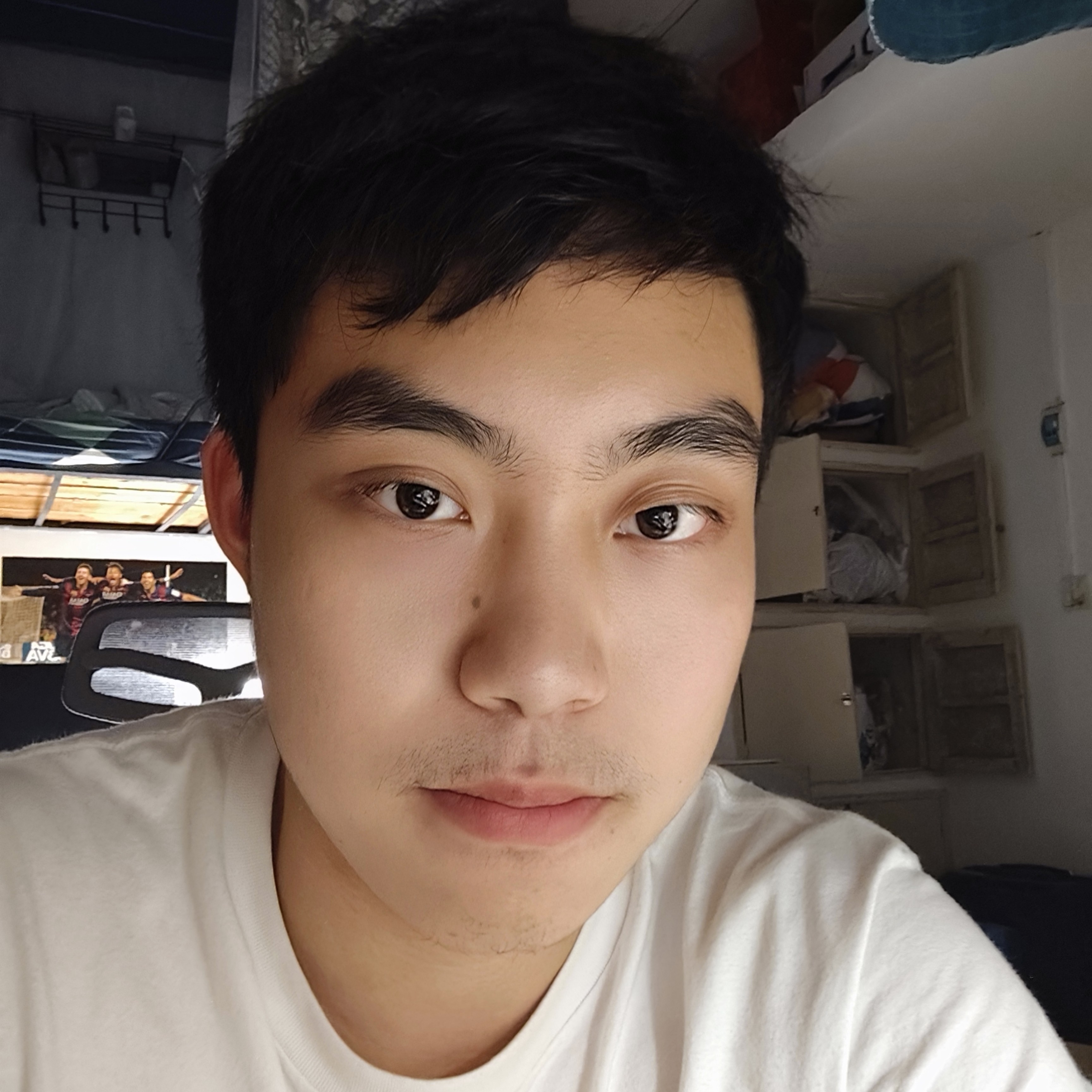 可 颂的照片