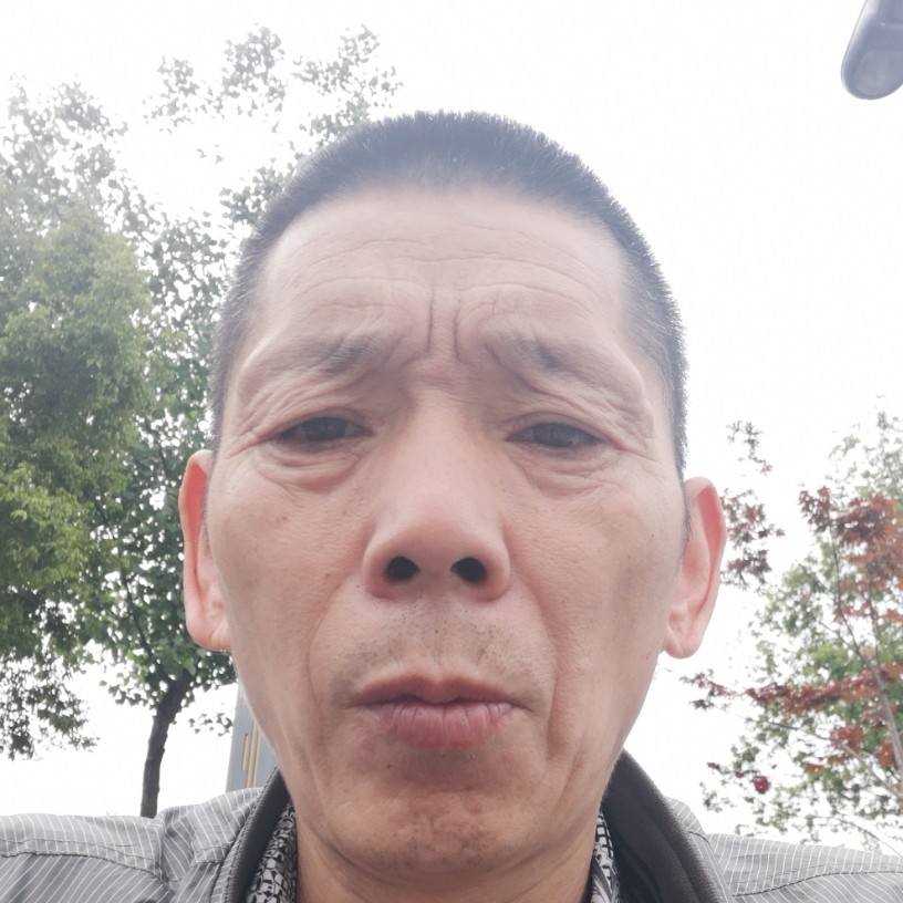 时空鳗鱼的照片