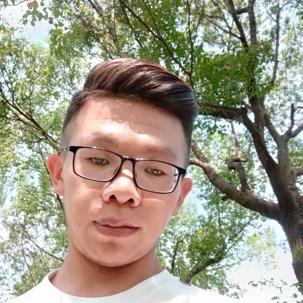 羽毛回眸高挑的照片