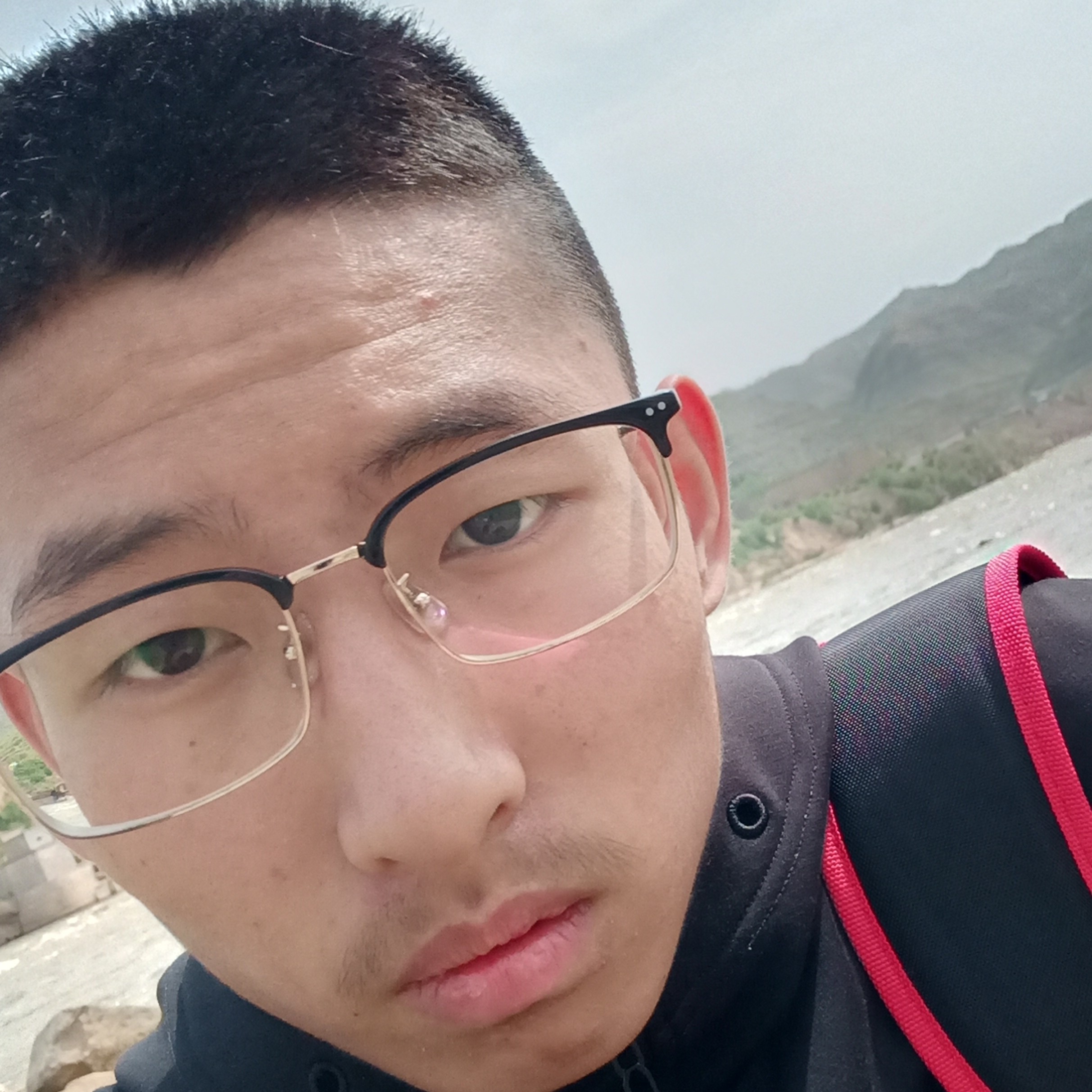 小鸽子就怕孤独的照片