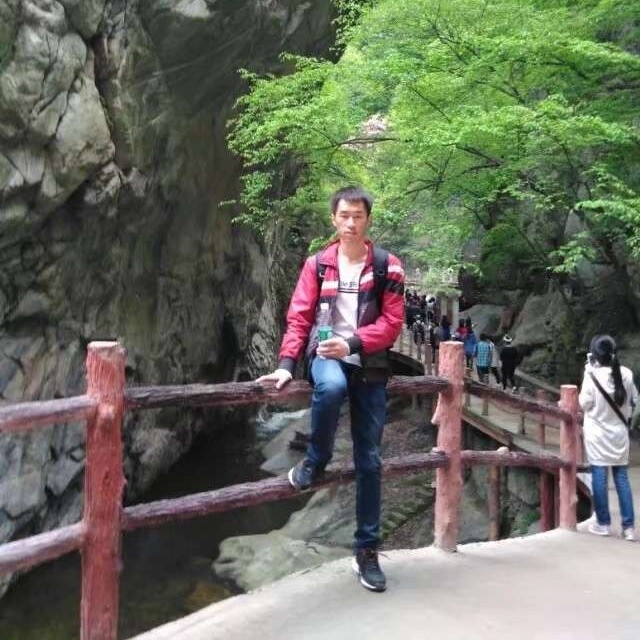 惊鸿那烂漫的照片
