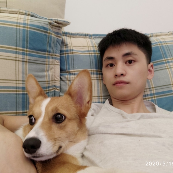 枕头等待活泼的照片