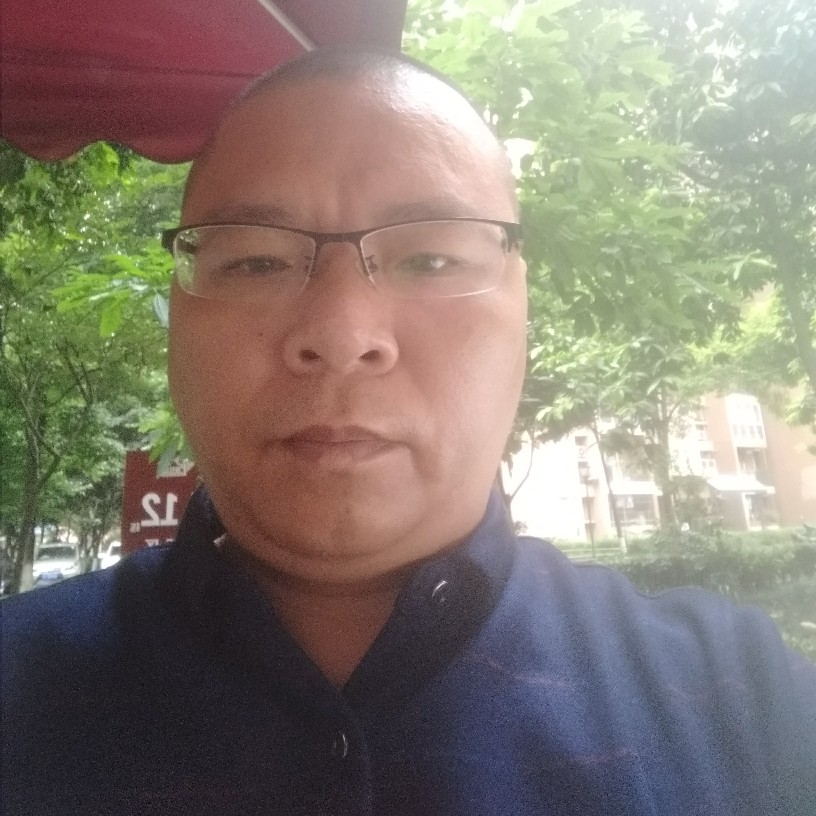 白猫等待腼腆的照片