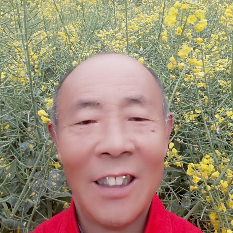 风中诺l言的照片