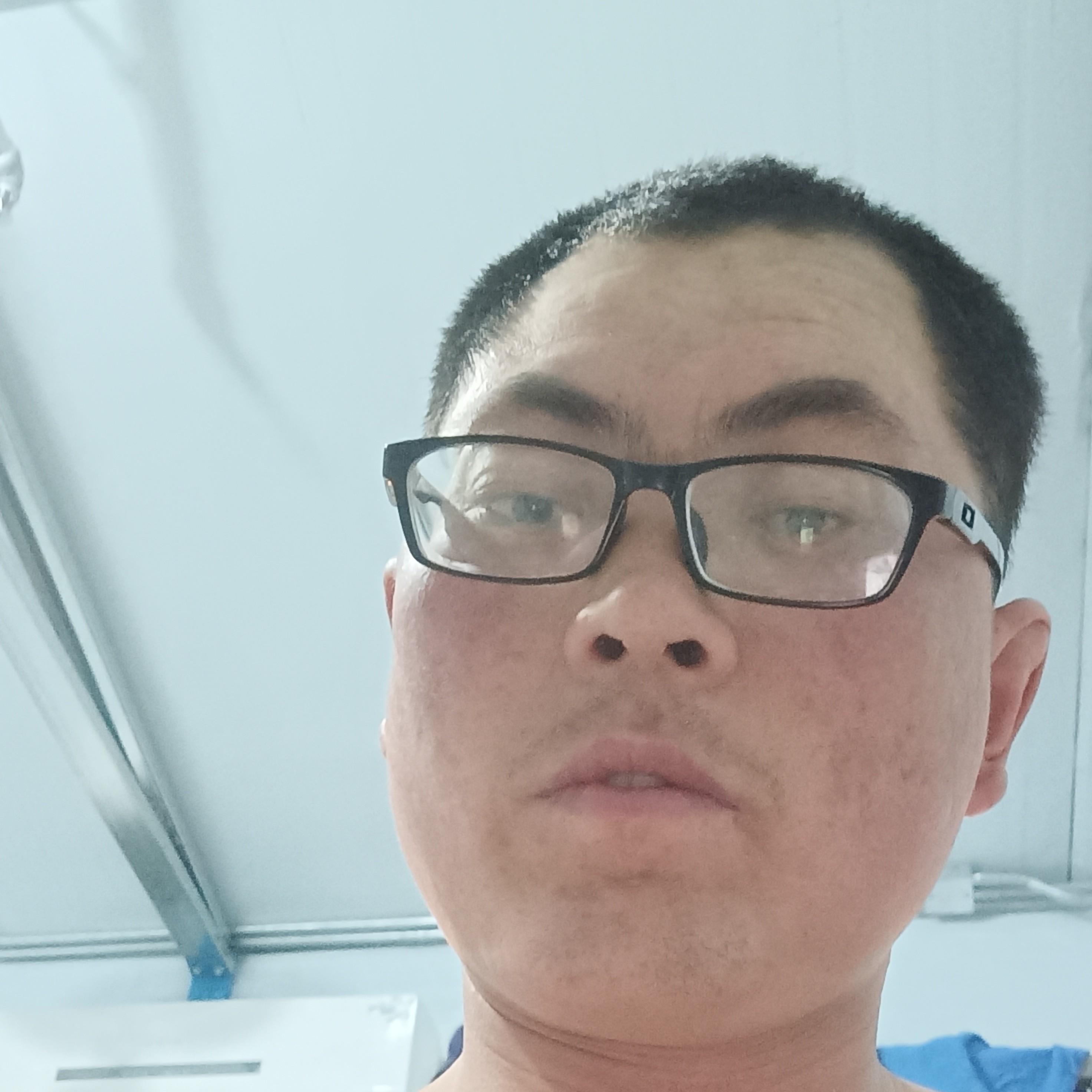 芒果坚定的照片