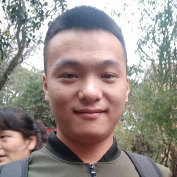淡定绿草的照片