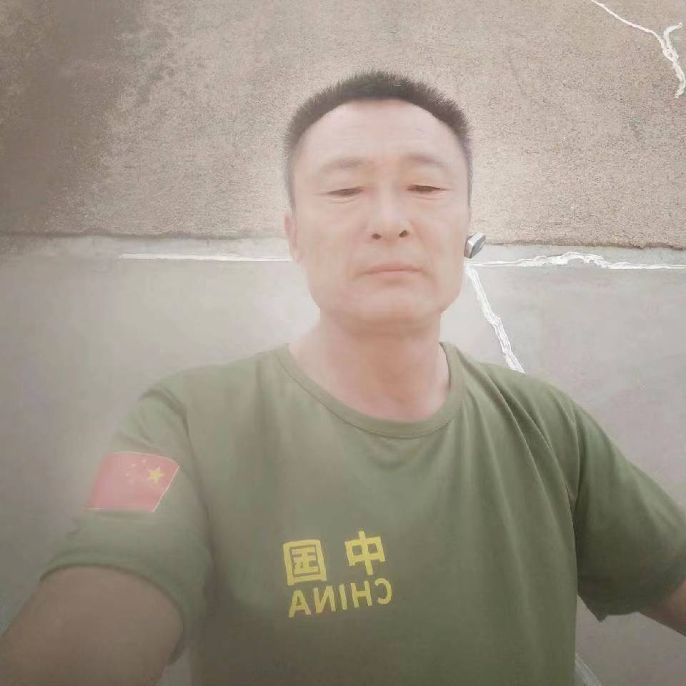 康乃馨停止感动的照片