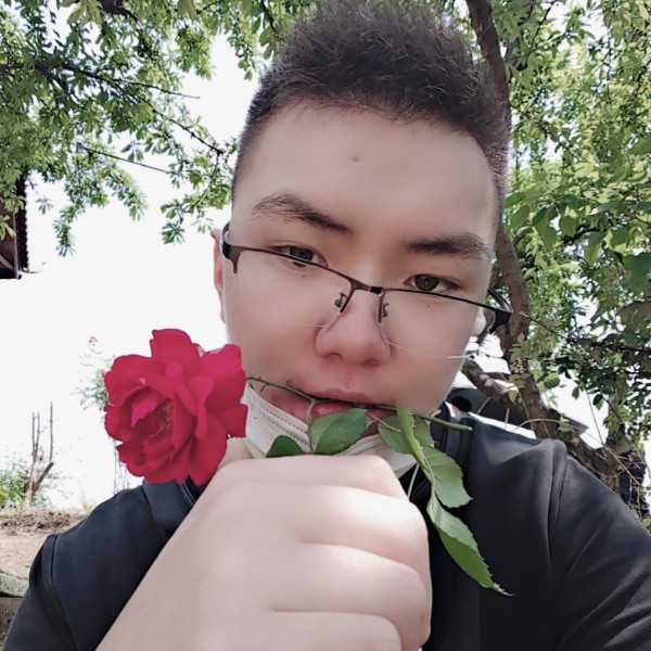 99朵玫瑰的照片