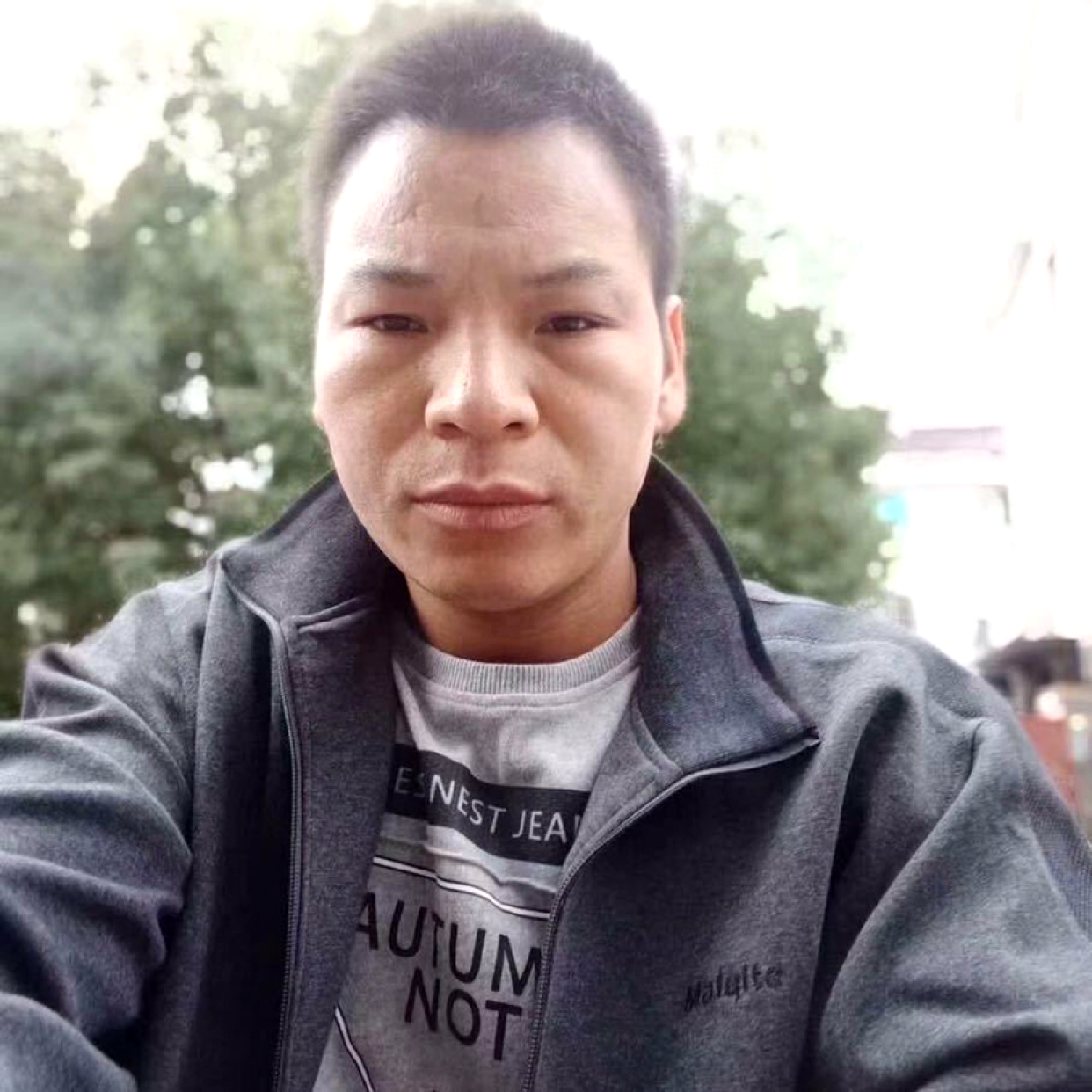 鸭子凝眸俊逸的照片