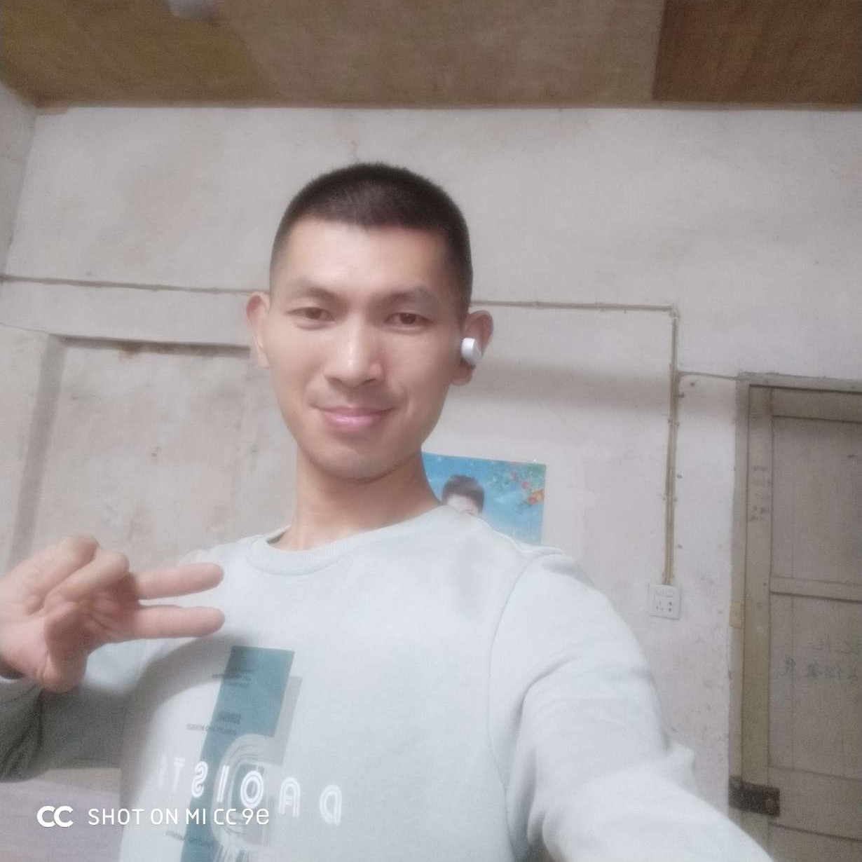 锦绣甜花的照片