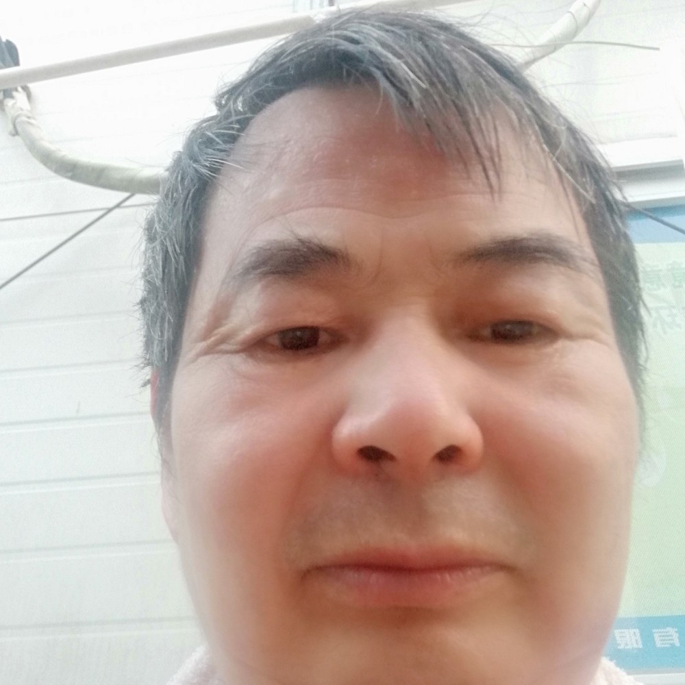 蝶舞大意的照片
