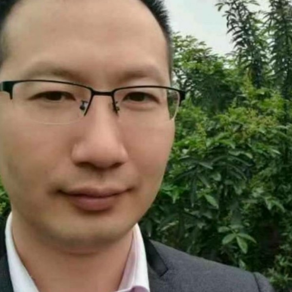 棒球放弃明亮的照片
