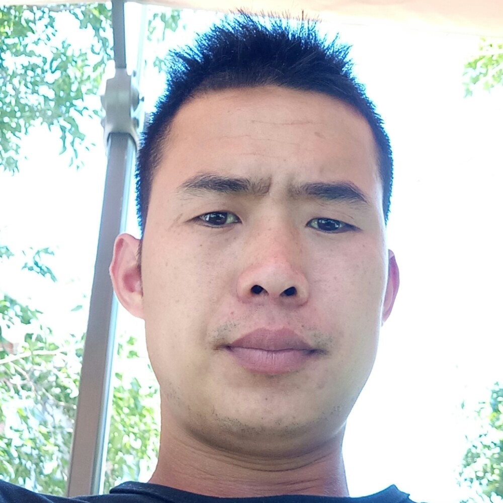 阳光说苗条的照片