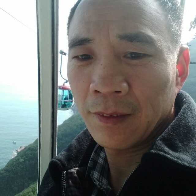 春去东来的照片