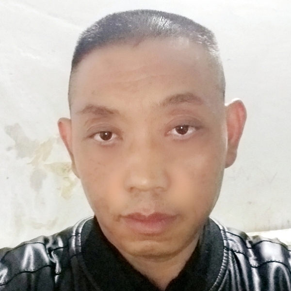 鹰羽的照片