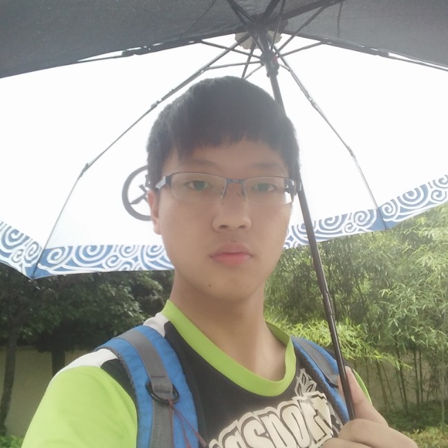 负载前行的照片