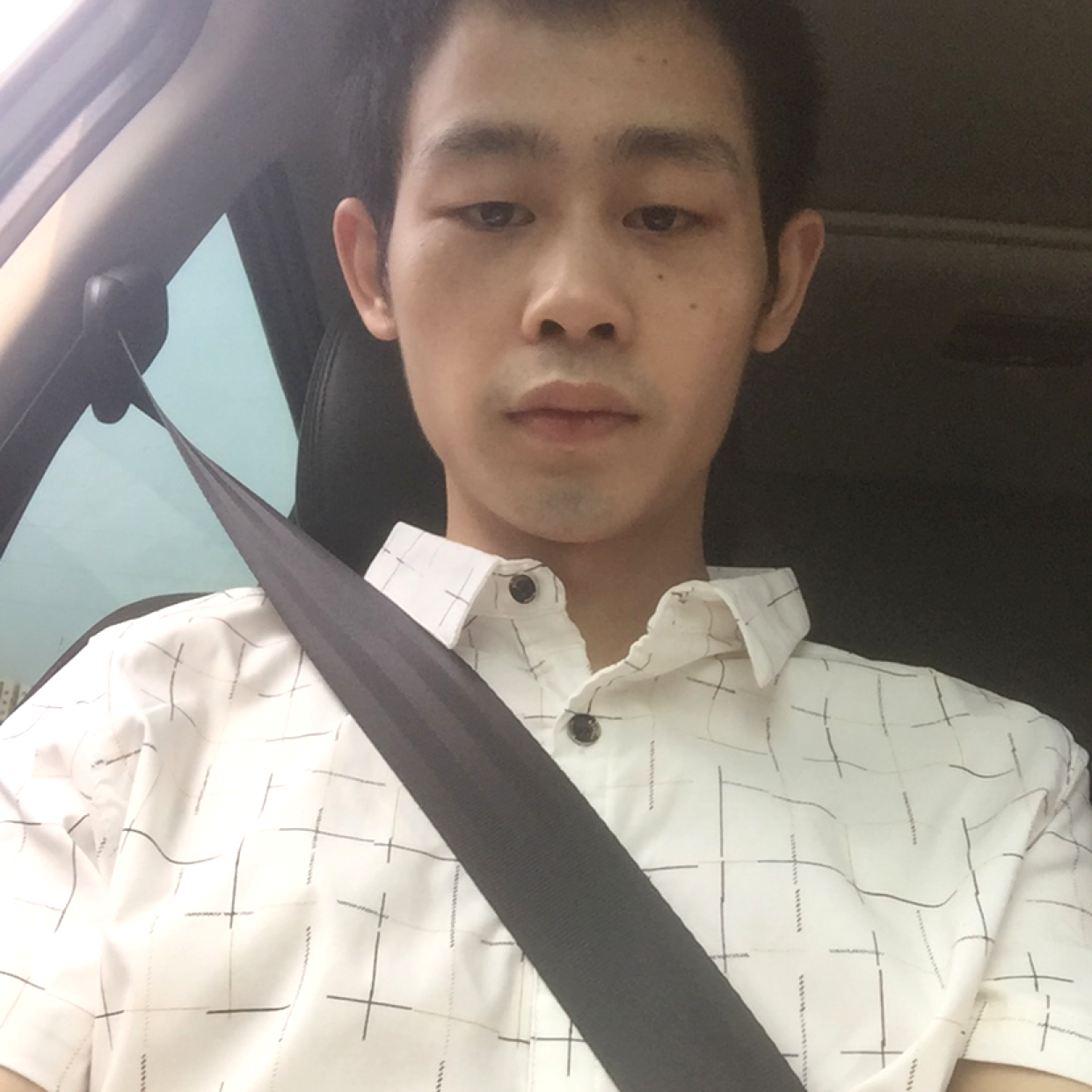 疯狂给小鸽子的照片